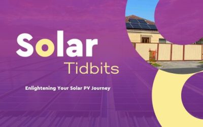 Solar Tidbits (Issue No. 29)